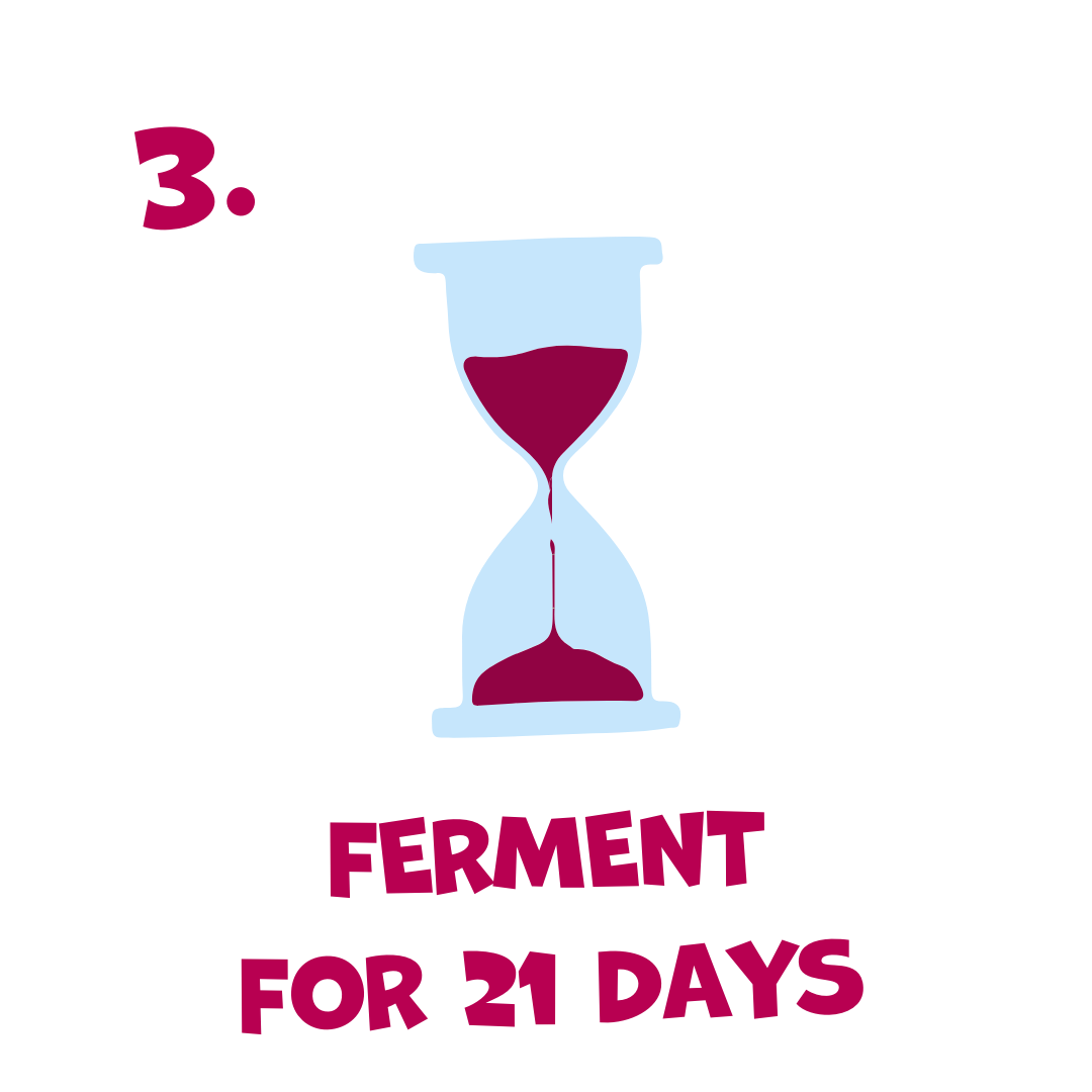 Illustration of a sand timer with text 'FERMENT FOR 21 DAYS' on a white background