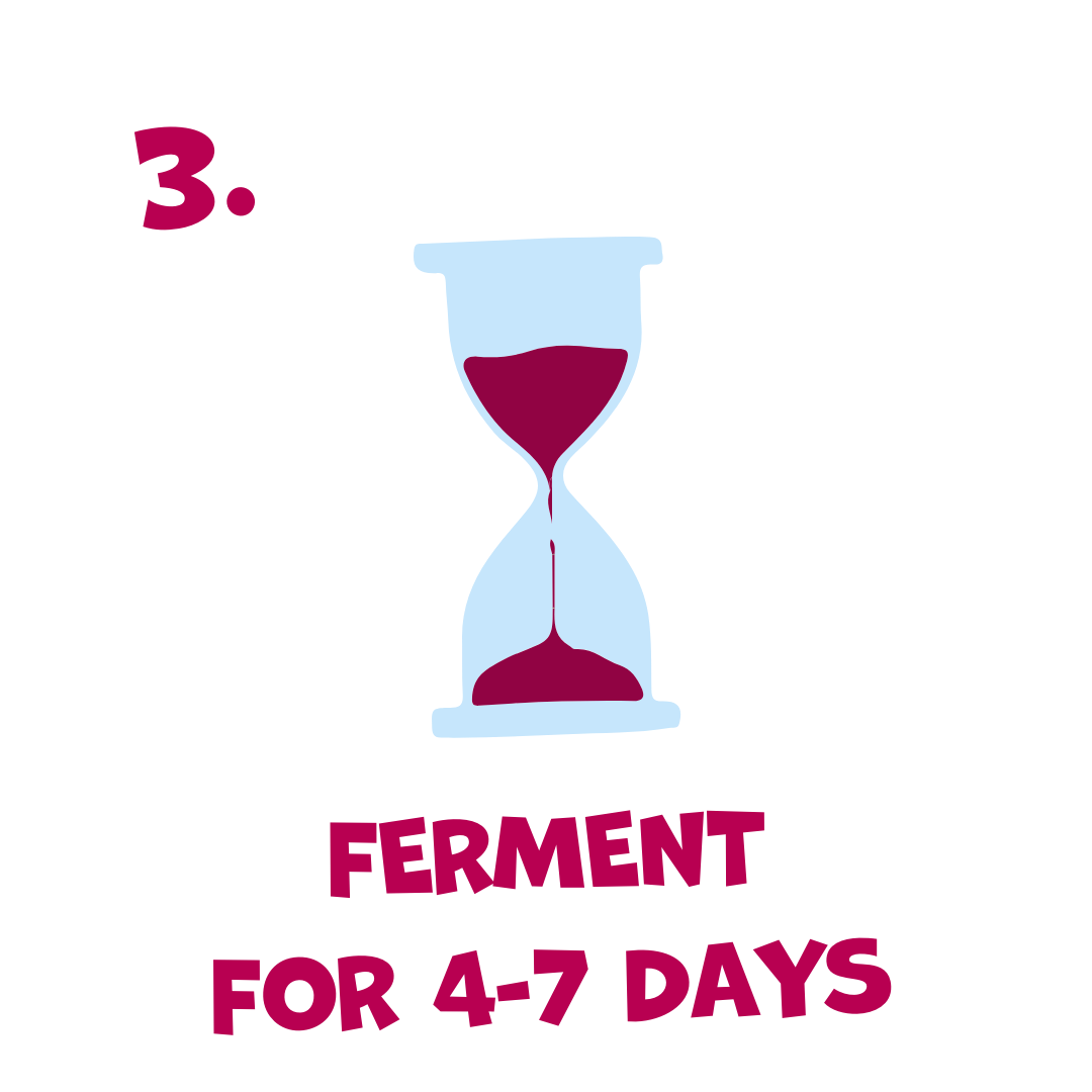 Illustration of a sand timer with text indicating fermentation duration on a white background