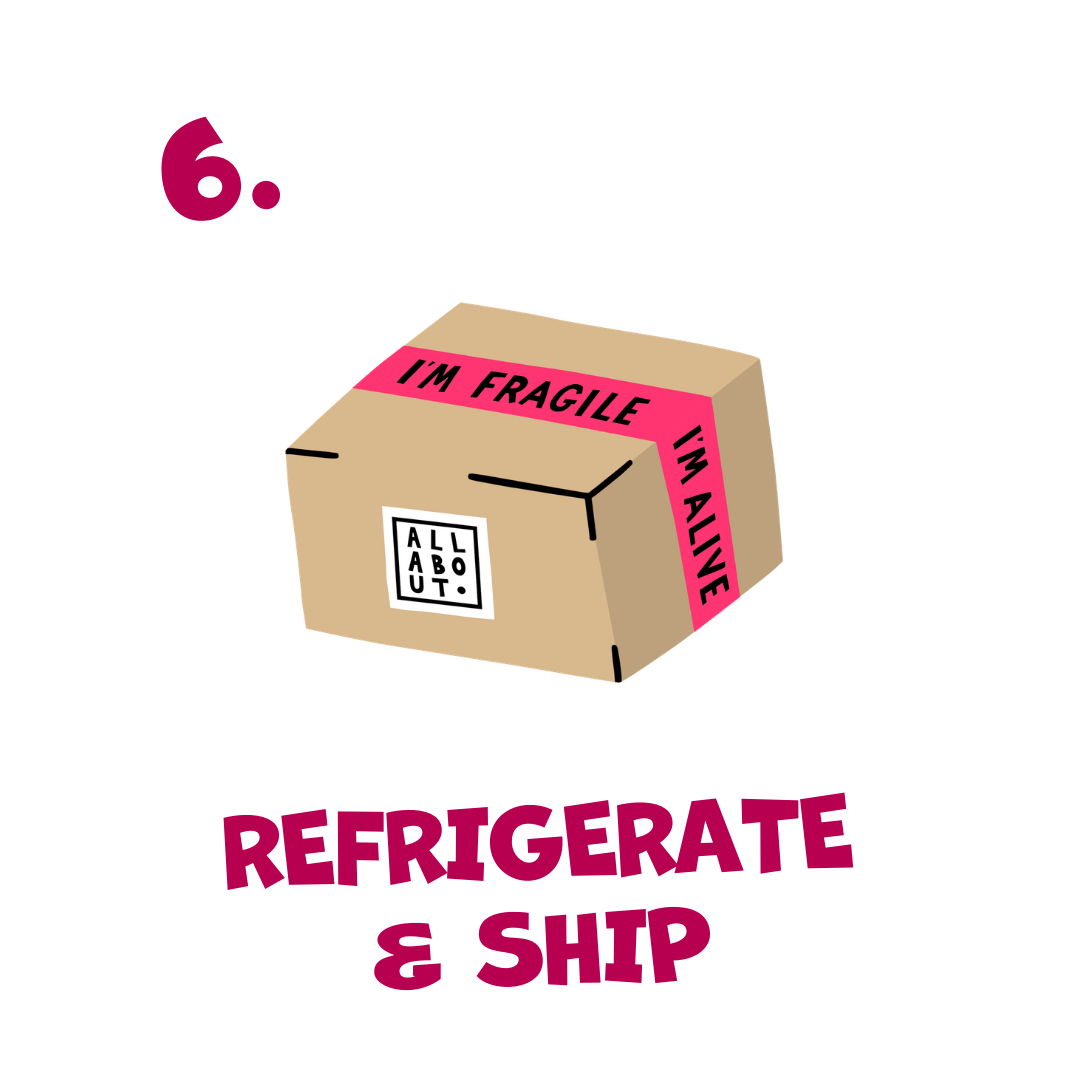 Cardboard box with 'I'm Fragile' and 'I'm Alive' tape, 'All About' label, and text 'Refrigerate & Ship' on a white background.