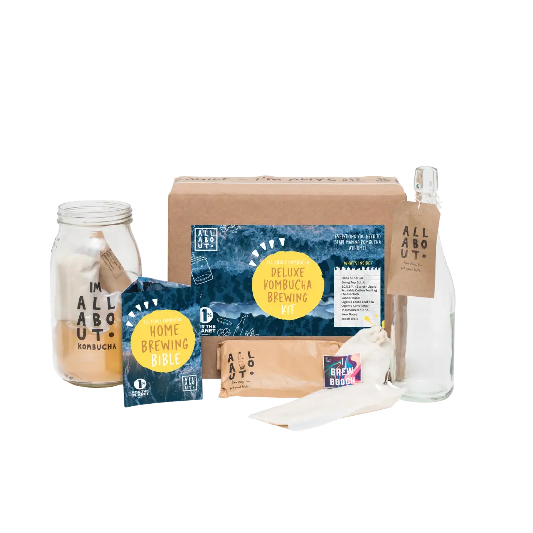 Home kombucha brewing kit displayed on a white background, including a fermentation jar, glass bottle, tea bags, brewing accessories and a brewing guide booklet