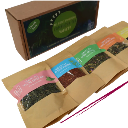 All About Kombucha OG tea variety pack with five kraft pouches of loose leaf tea, including green tea, rooibos, herbal green, and berry blends, displayed beside branded packaging box.
